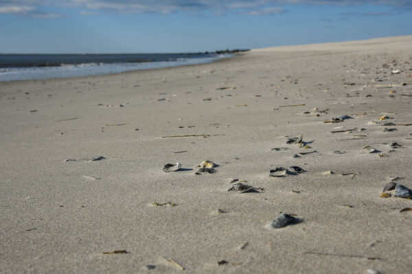 Looking for treasures along the beach