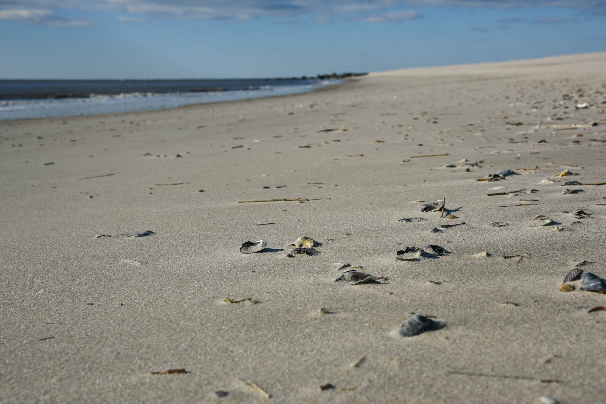 Looking for treasures along the beach