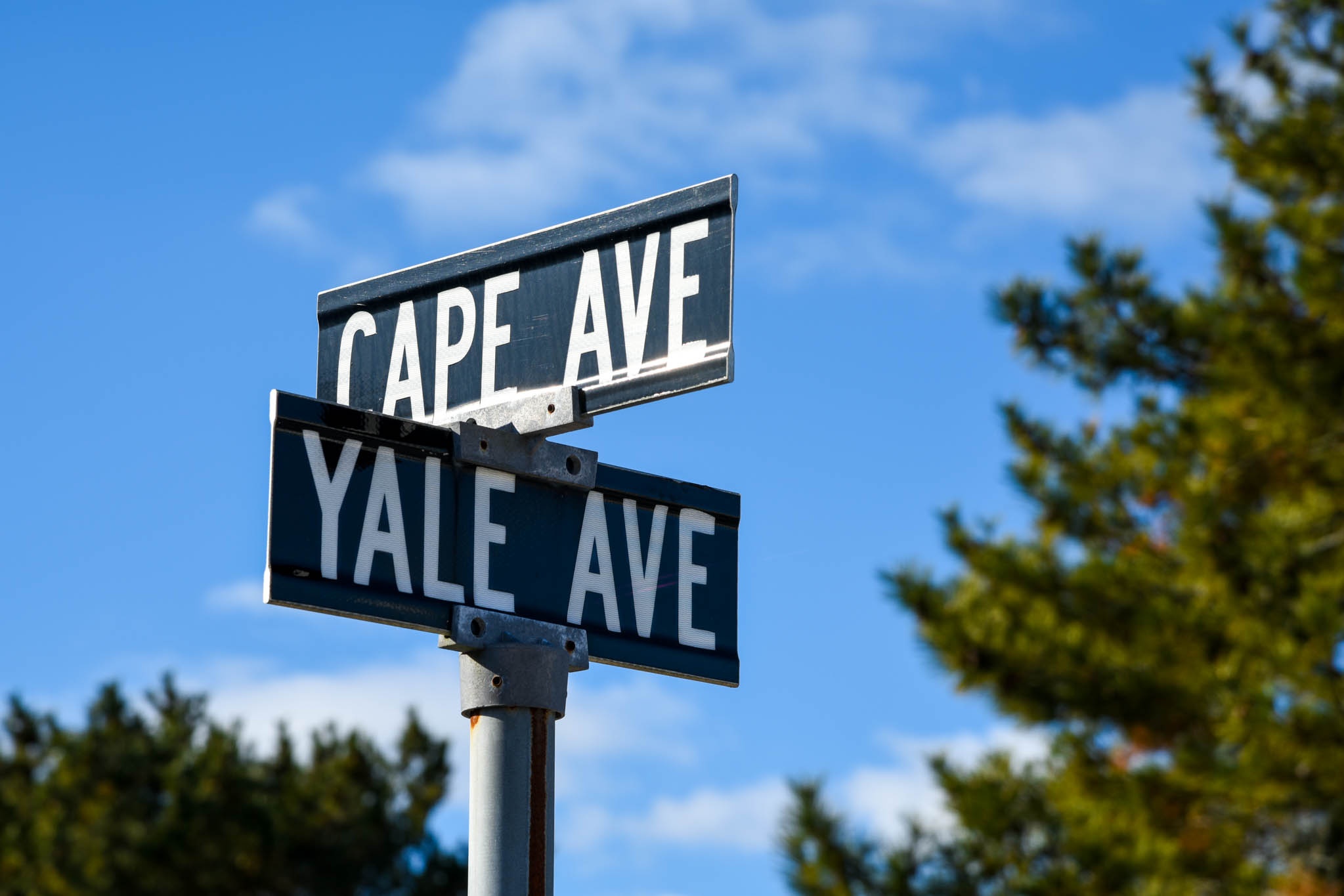 Cape May Point Street signs Cape Ave. & Yale Ave. 