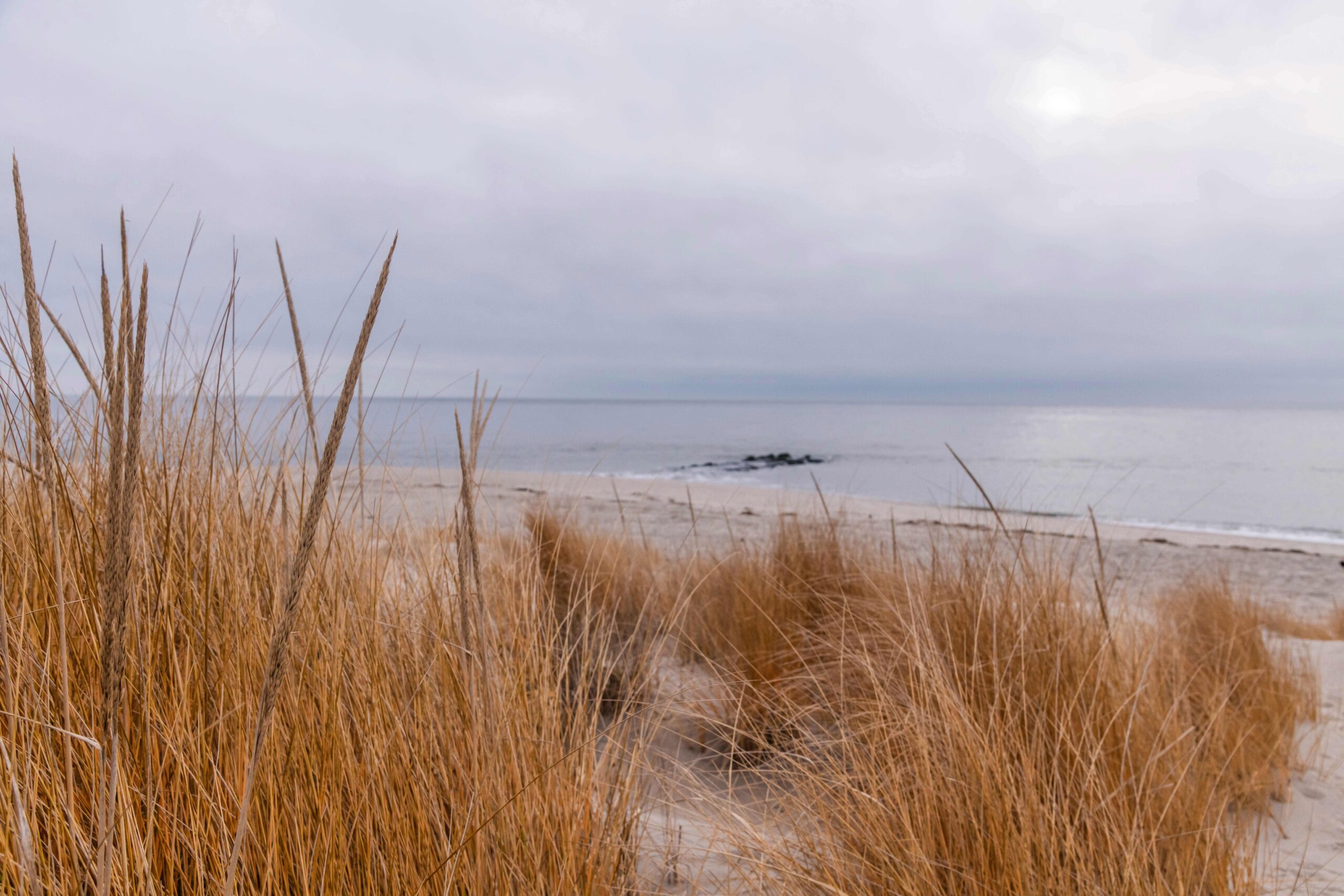 A view of the ocean and a cloudy sky through orange beach dunes