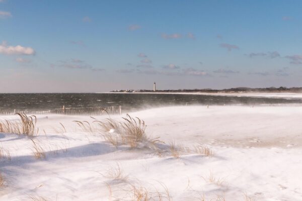 Snow Blown at The Cove