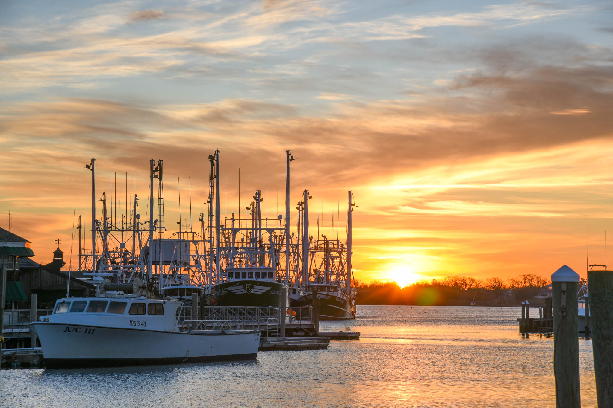 Looking at the fishing boats at sunrise