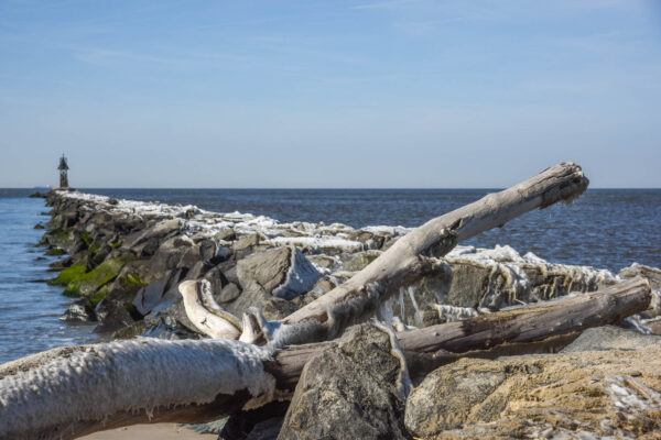 Frozen driftwood at Higbee Beach