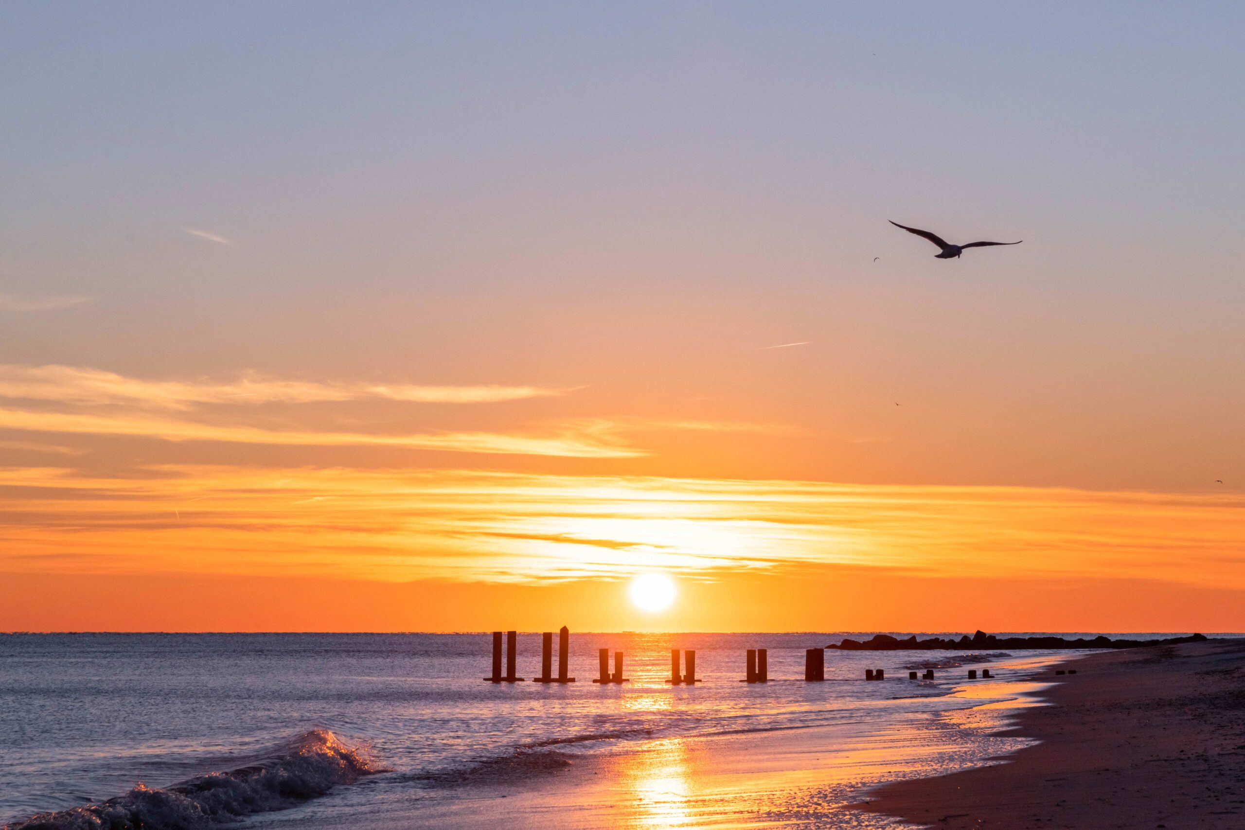 A bird flying in a clear sky with thin wispy clouds at the horizon at sunset, with a wave crashing and the jetty sticking out of the ocean at the beach