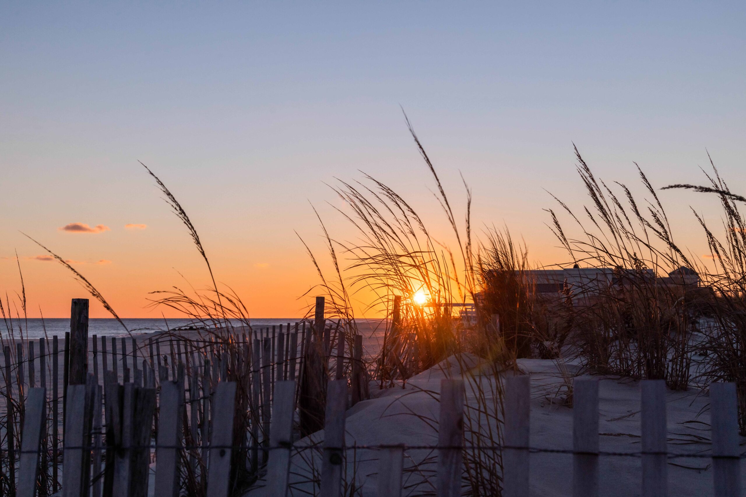 The sun setting in the distance through the beach dunes with a clear sky