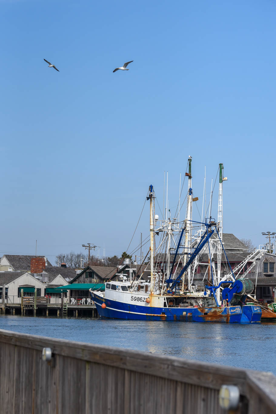 Seagulls Flying Over The Harbor with the Lobster house and fishing boat at the dock.