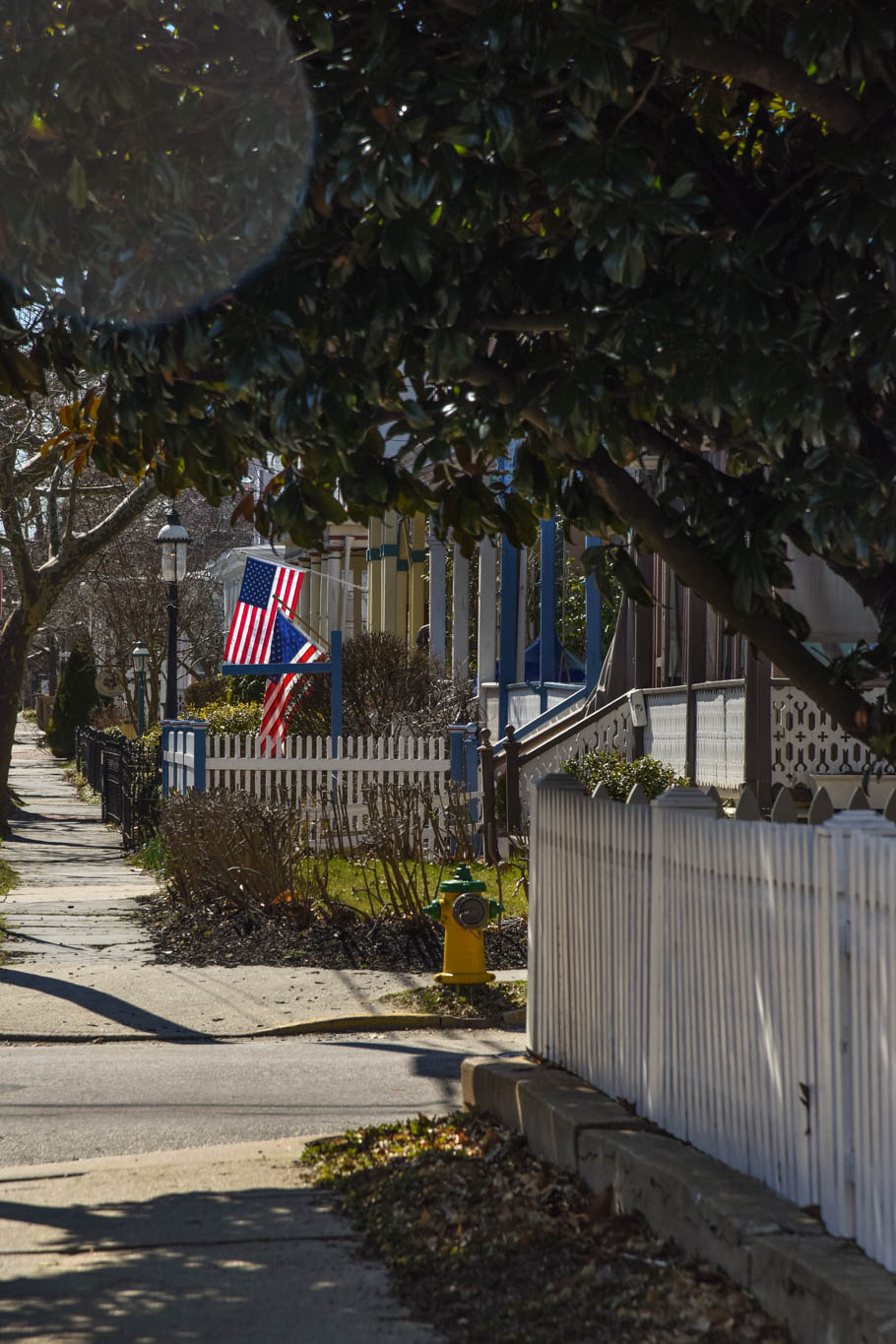 Afternoon Walk on Columbia Ave