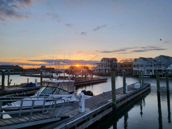 Sunrise at the harbor