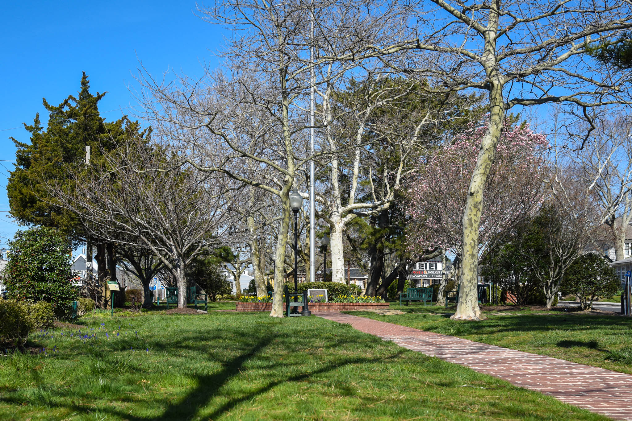 Spring at Wilbraham Park