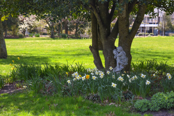 a Statue Kissing Under The Tree