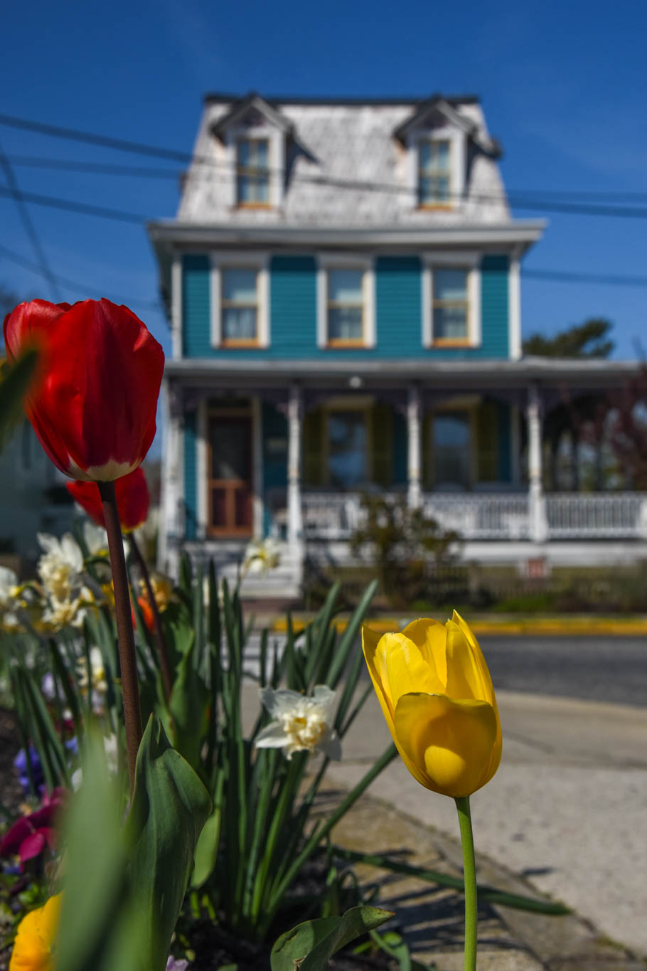 Perry St & Jackson St where the City of Cape May Sign is looking at flowers and a house