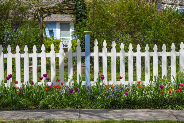 Flowers along the fence on Washington St