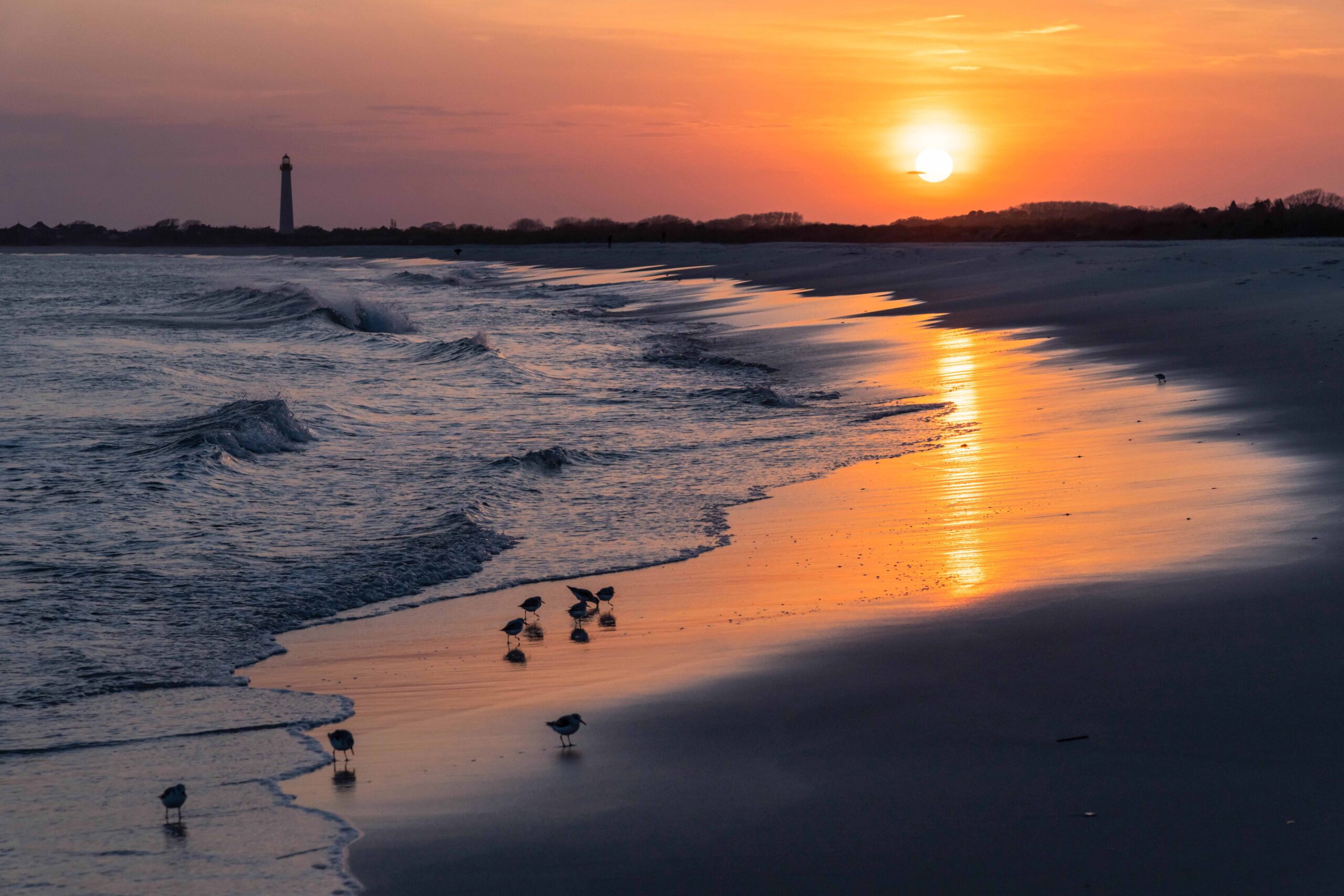 Orange sunset reflected in the shoreline with waves crashing, small birds gathered by the water, and the Cape May Lighthouse in the distance