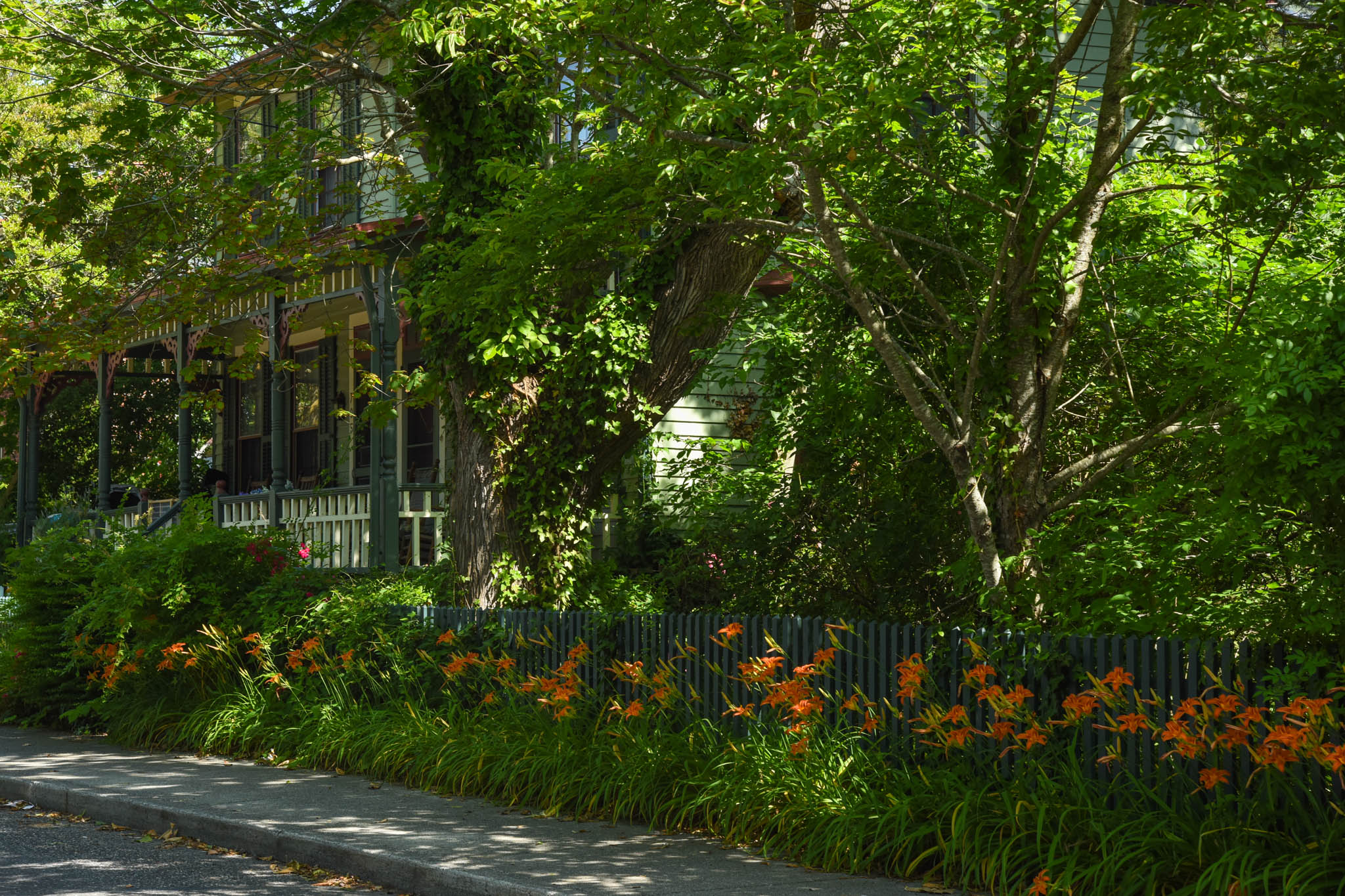 Hidden Porch with flowers under the trees on the corner of Jefferson St Corgi St.