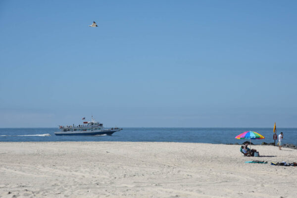 the Atlantic Star in the ocean and a Seagull flying along the beach.