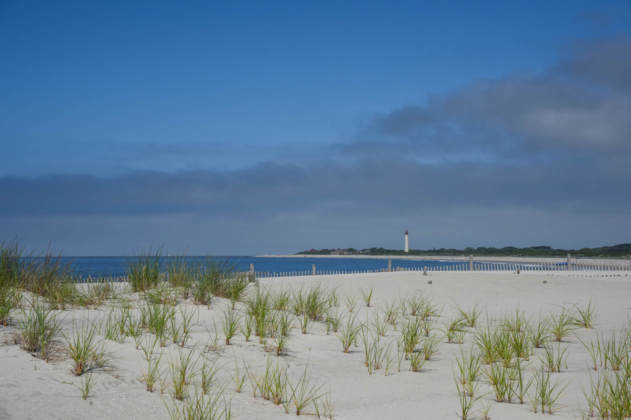 Morning at The Cove looking over the cunes to the Cape May Lighthouse