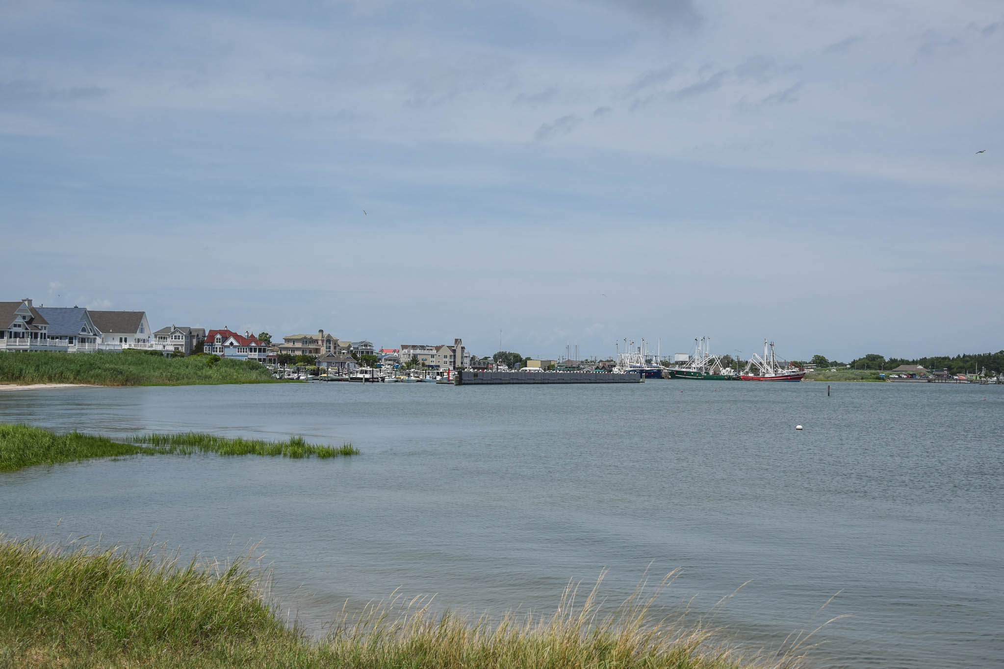 Calm Before The Weekend of the Cape May Harbor