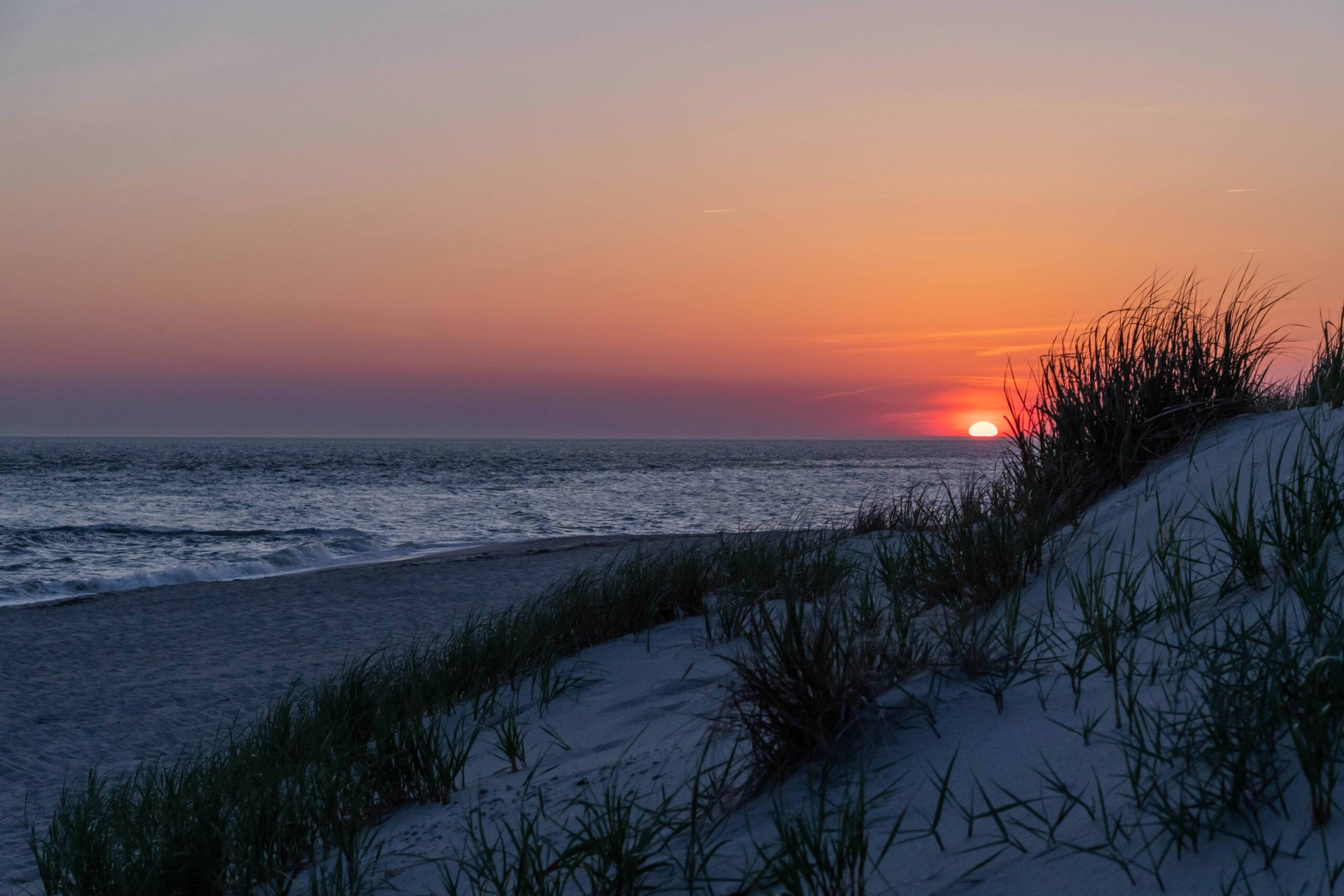 A pink sunset at the horizon of the ocean behind beach dunes 