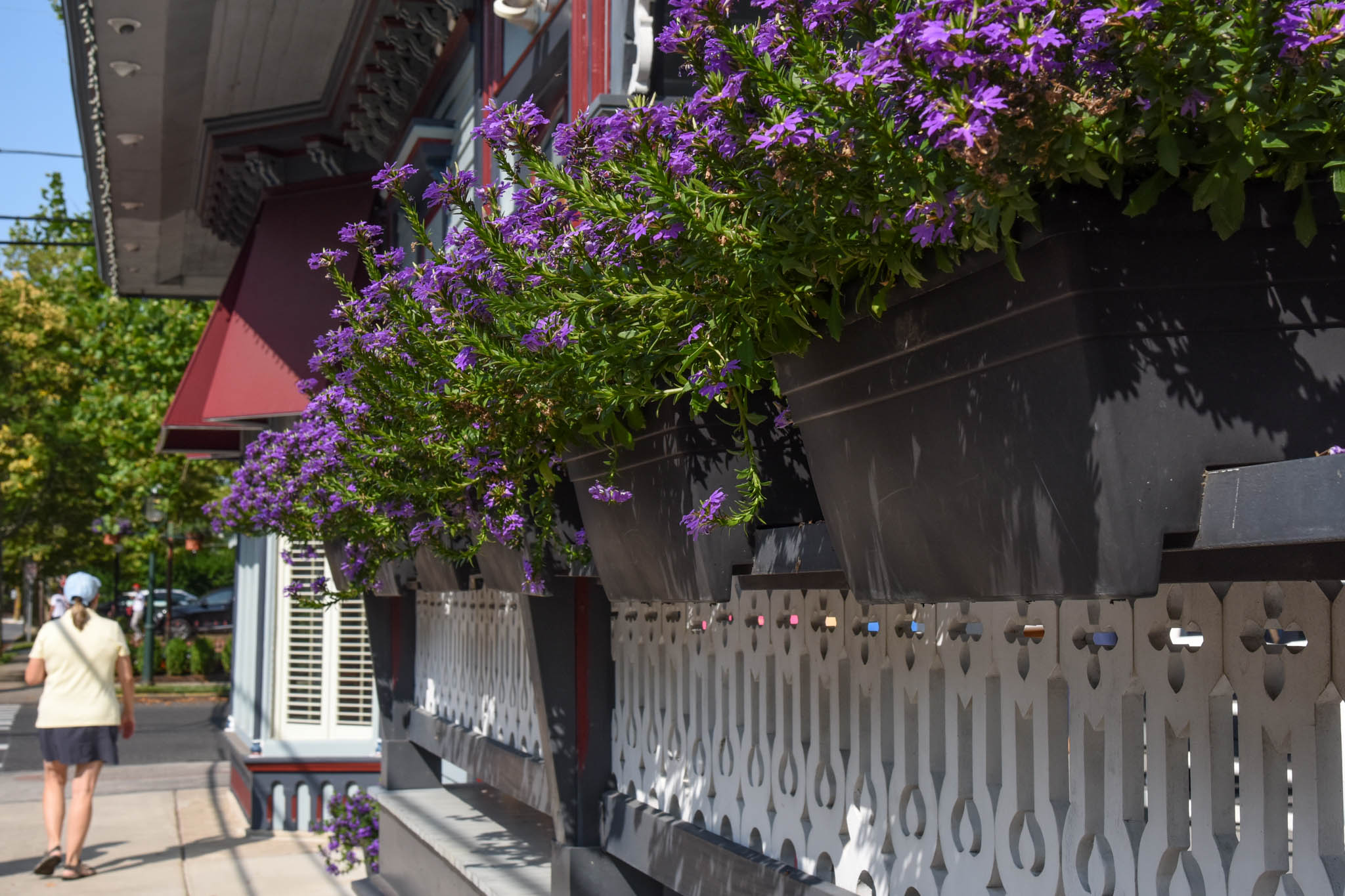 Flowers hanging on the railing while a lady is walking on Columbia towards Ocean Street. 