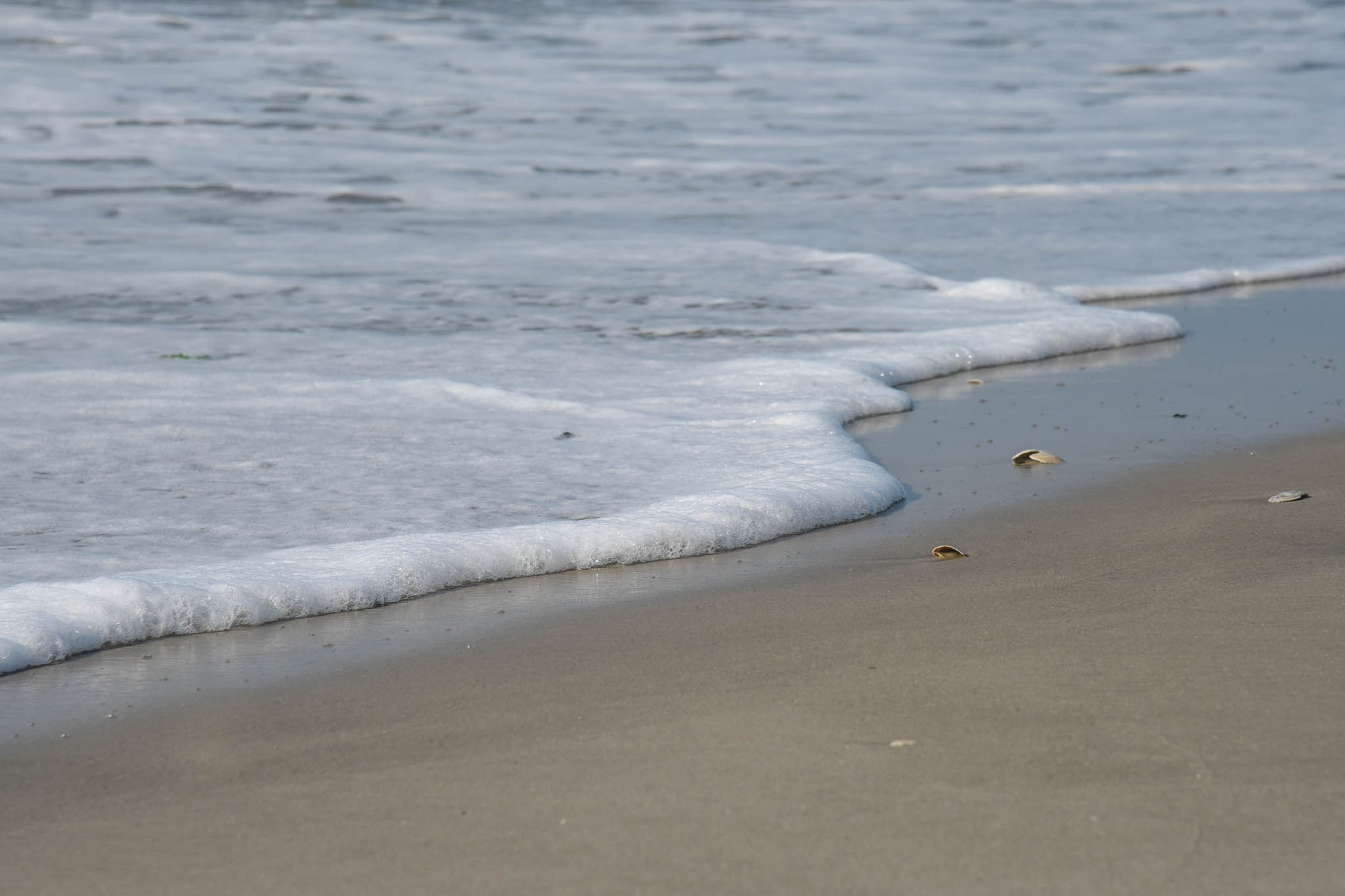 the ocean at the edge of the beach