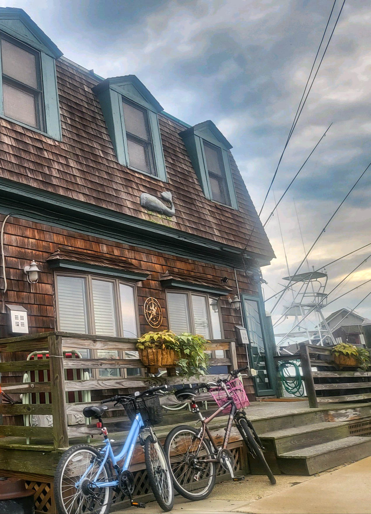 Bikes along Yacht Ave after the rain