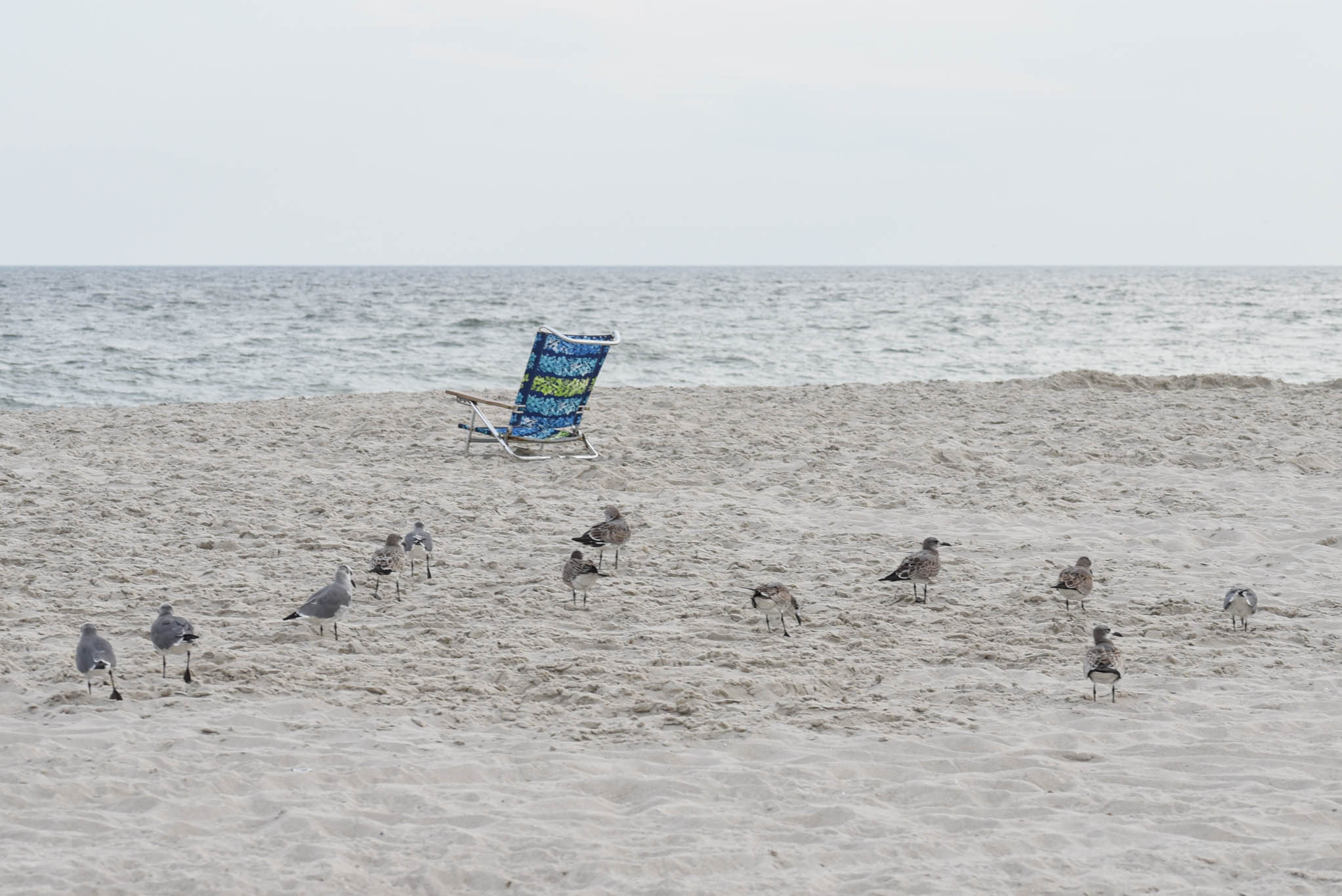 a empty beach chair and seagulls walking to it on the beach 