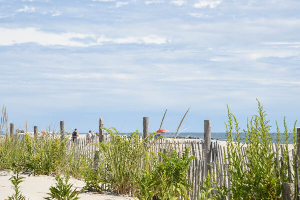 Looking through the dunes as People walking to the beach on a September say