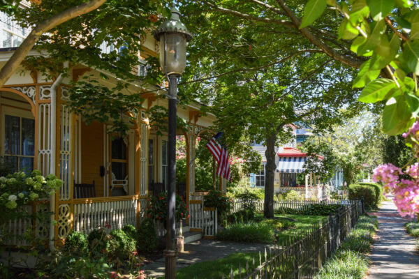 Afternoon Walk along Hughes Street