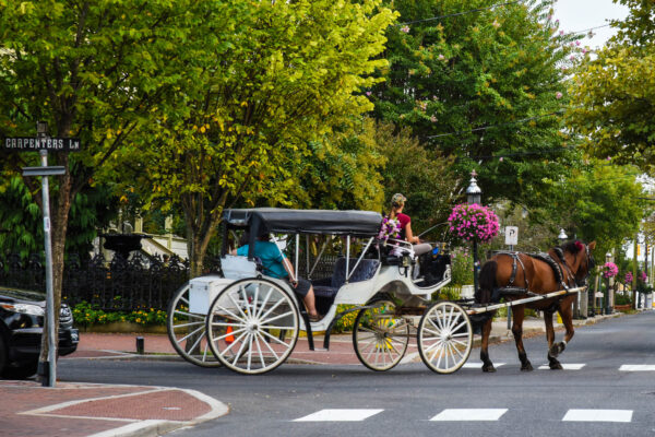 at the corner of Carpenters & Jackson waiting to cross while a horse and carriage go by.