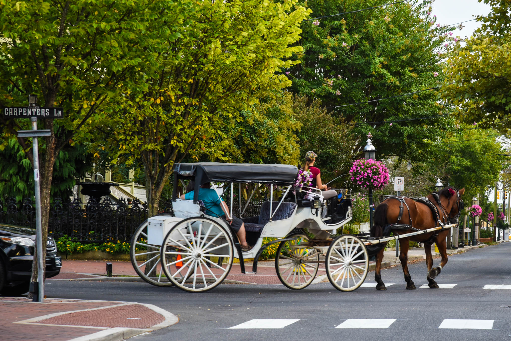 at the corner of Carpenters & Jackson waiting to cross while a horse and carriage go by. 