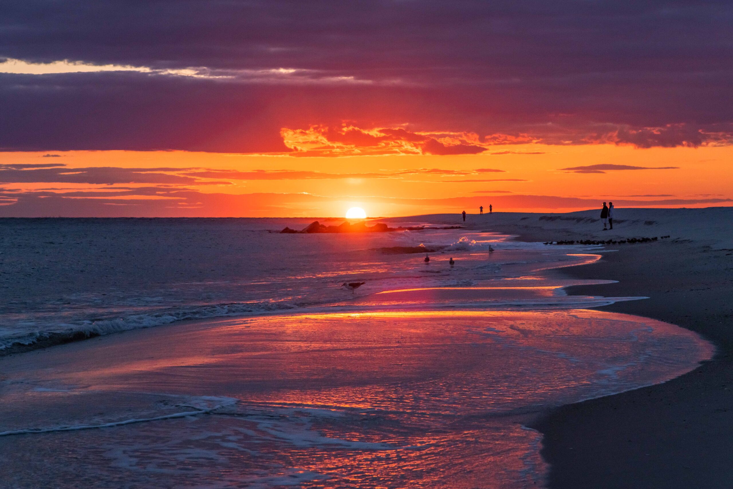 The sun setting with pink and purple clouds in the sky and orange at the horizon. The sun is reflected in the ocean and at the shoreline. People and birds are at the ocean