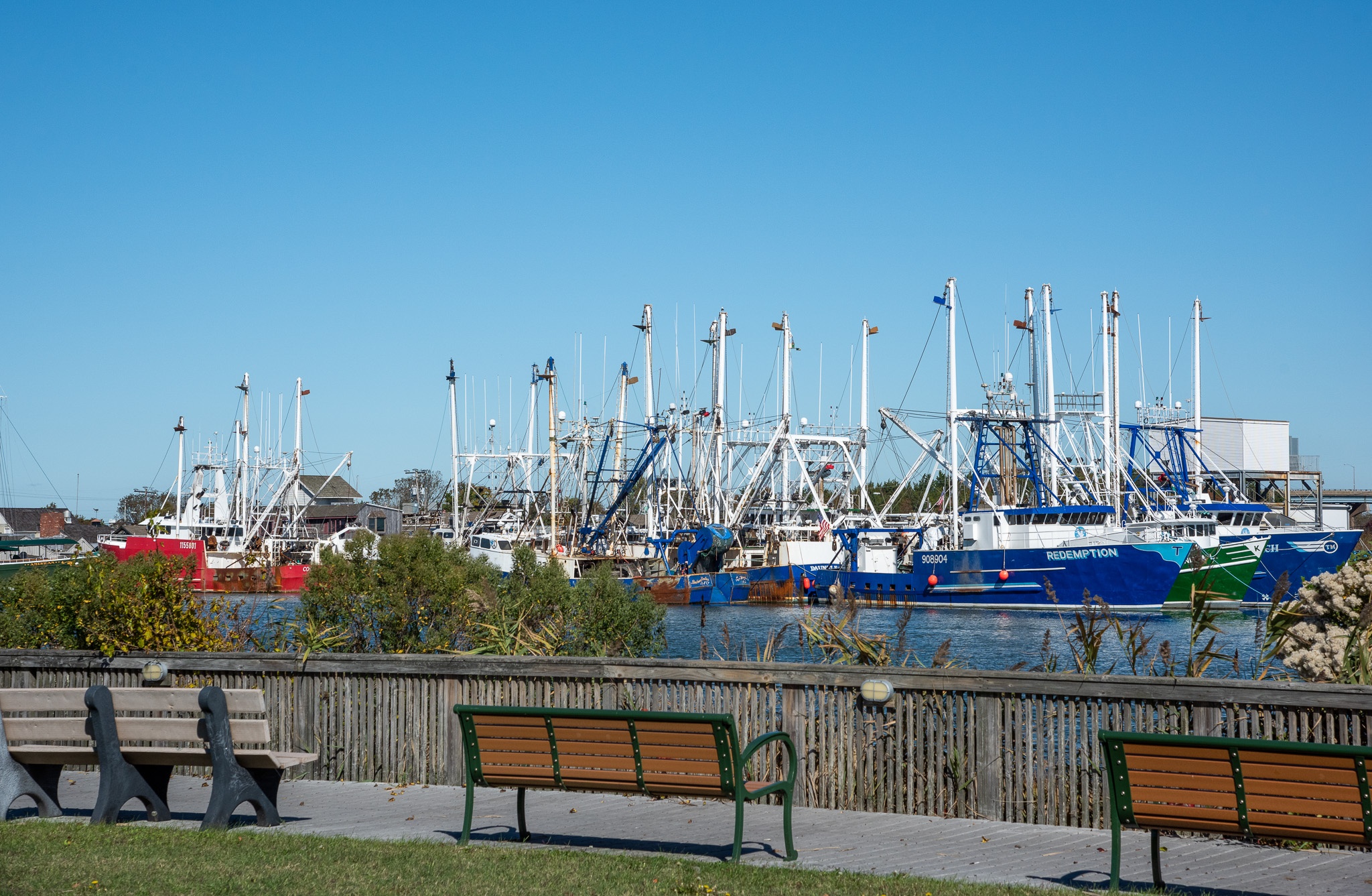 Harbor View Park looking at the fishing boats along the dock
