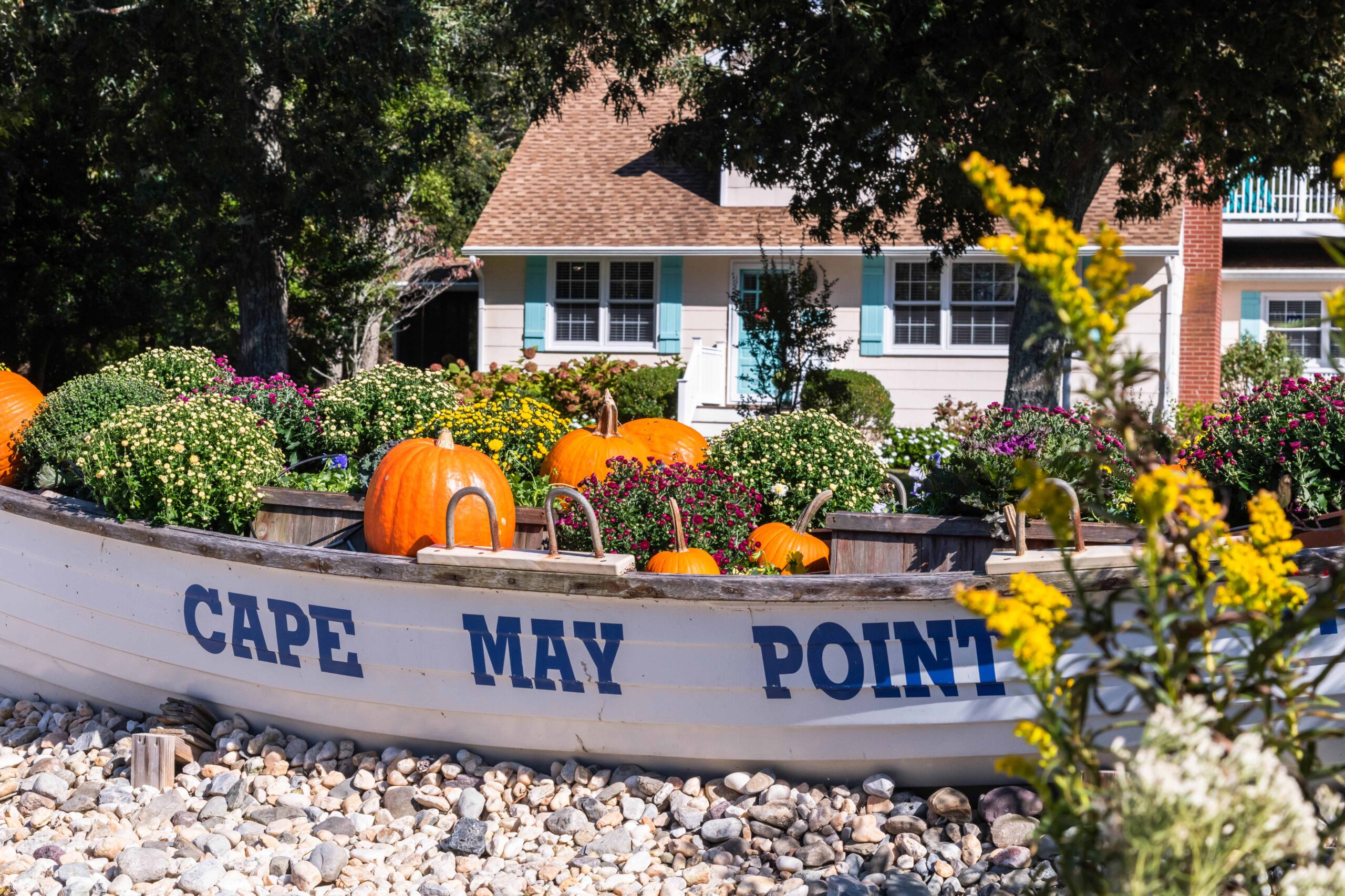 A Cape May Point lifeguard boat filled with orange pumpkins, red, yellow, white, and purple mums with a yellow goldenrod flower in the foreground and a beige house with aqua shudders in the background on a sunny day