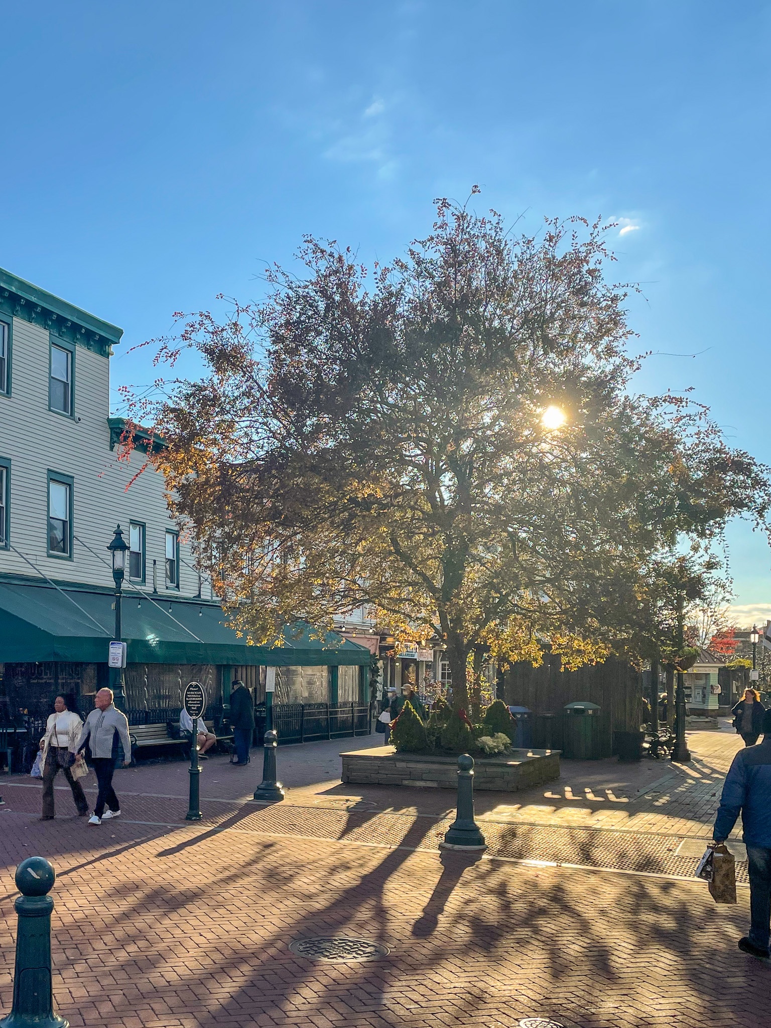 Last Leaves of November on the Washington Street Mall. The sun is shinning through the leaves and people are shopping.