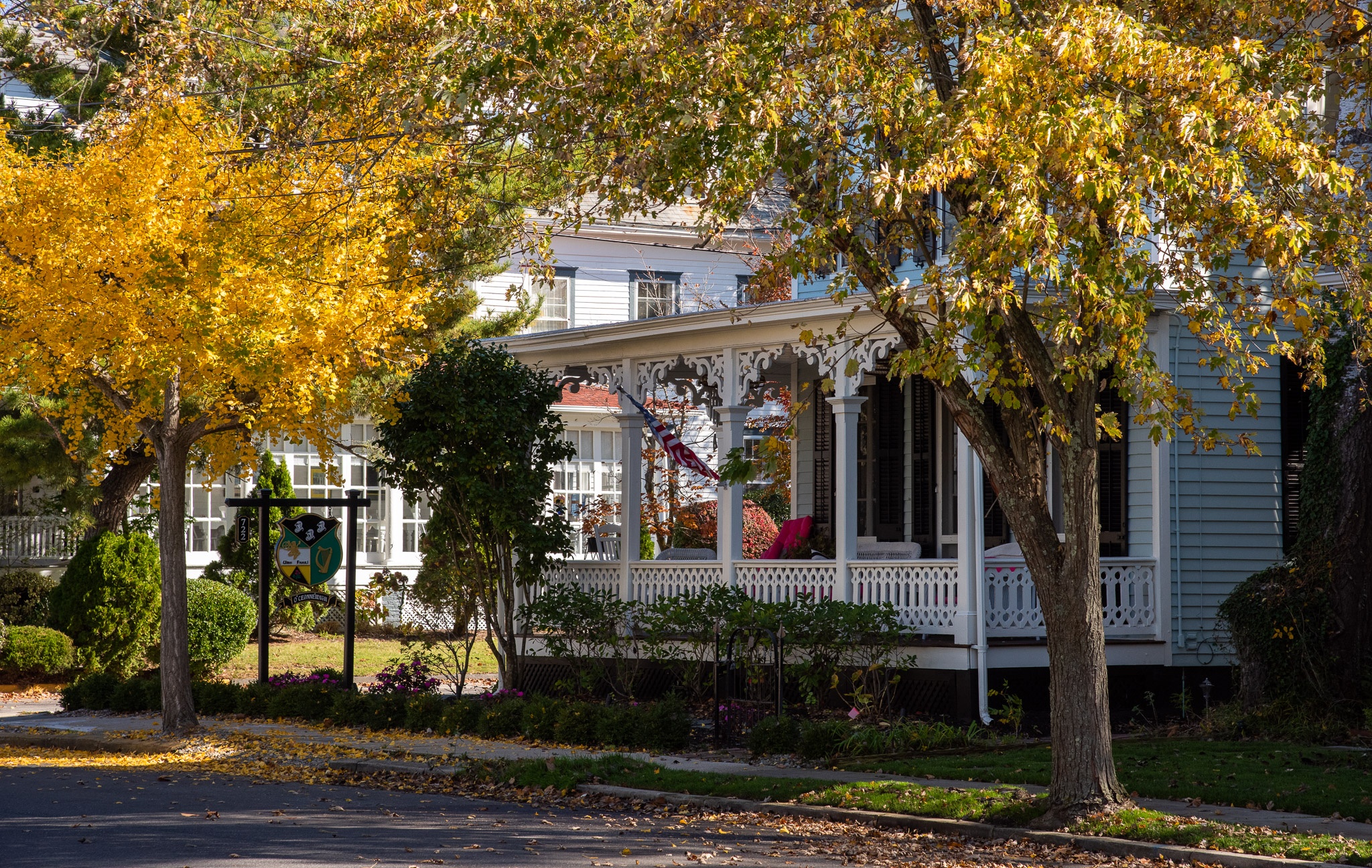 Yellow leaves on Columbia Avenue