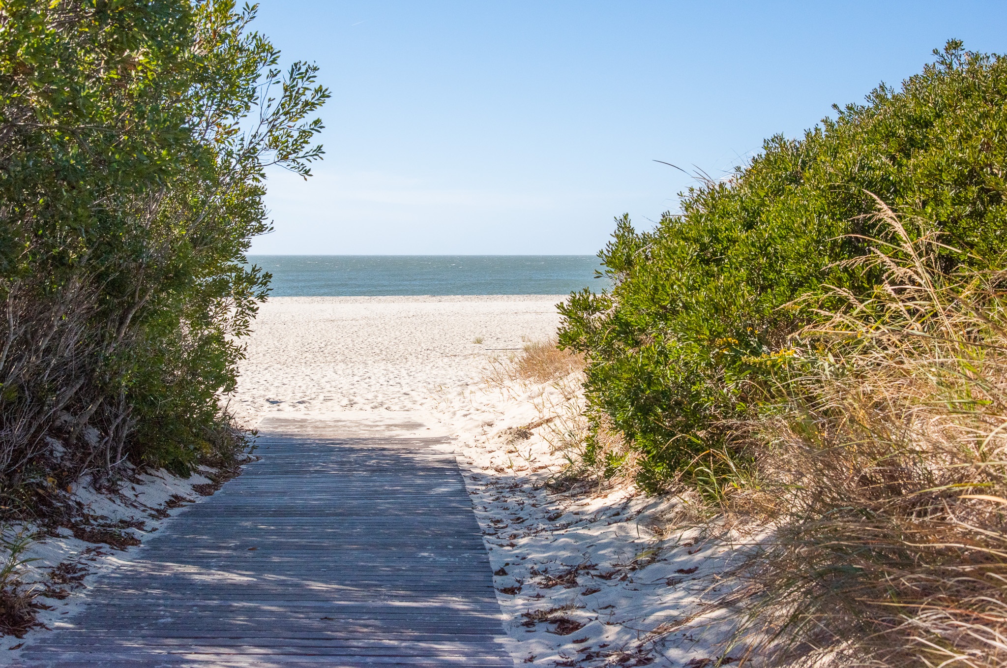 A path to the beach near the Cove in between the dunes
