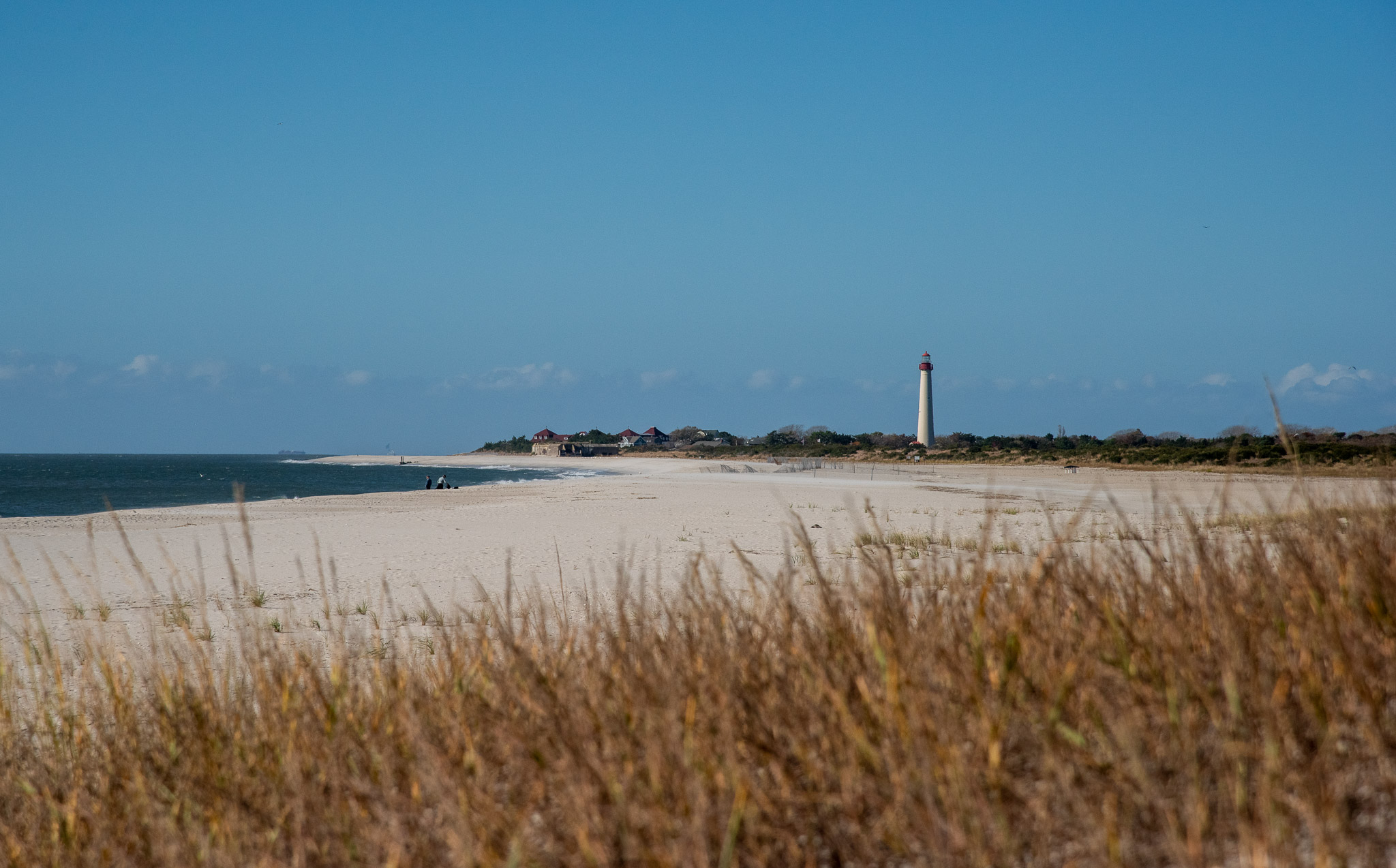 Looking Towards The Cape May Lighthouse from the dunes