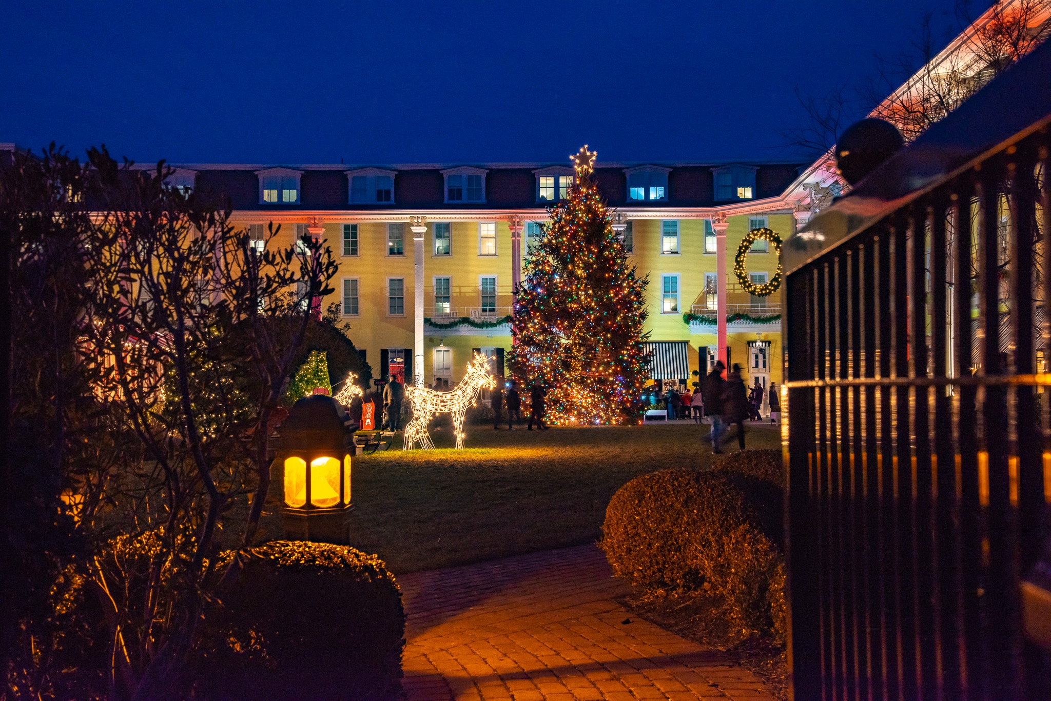 A Path to the Christmas tree at Congress Hall at night