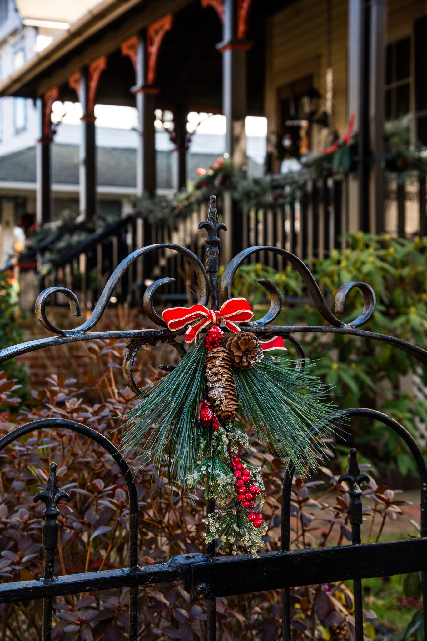 Holiday decor on a iron fence on Washington Street