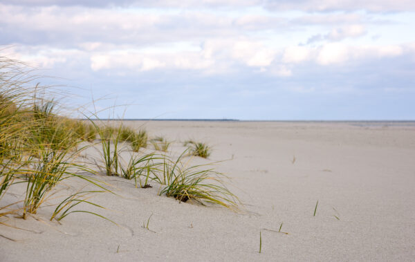 The Dunes by Poverty Beach.