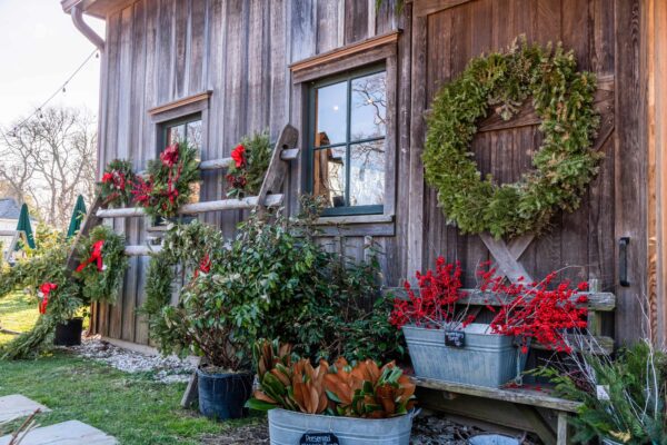 Greenery at Beach Plum Farm