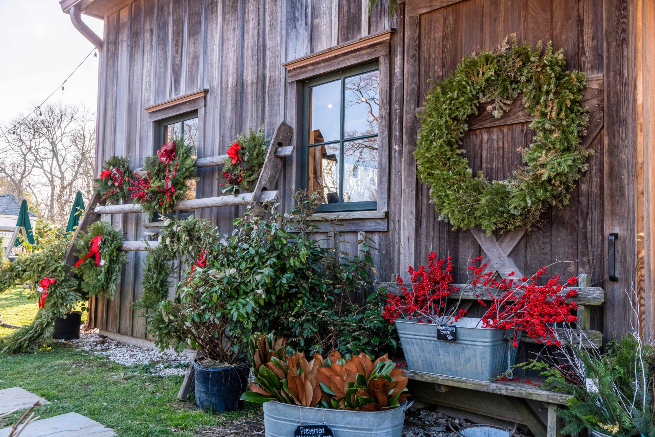 Green wreaths, red blows, and red winterberry branches displayed on the barn at Beach Plum Farm on a sunny day