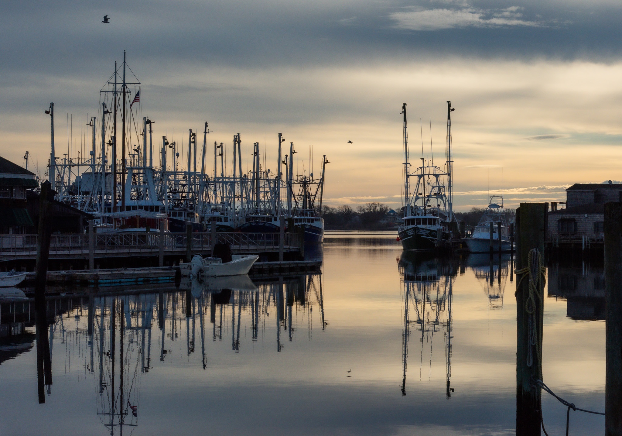 Morning at the Harbor where you can see fishing boats, the docks, and birds