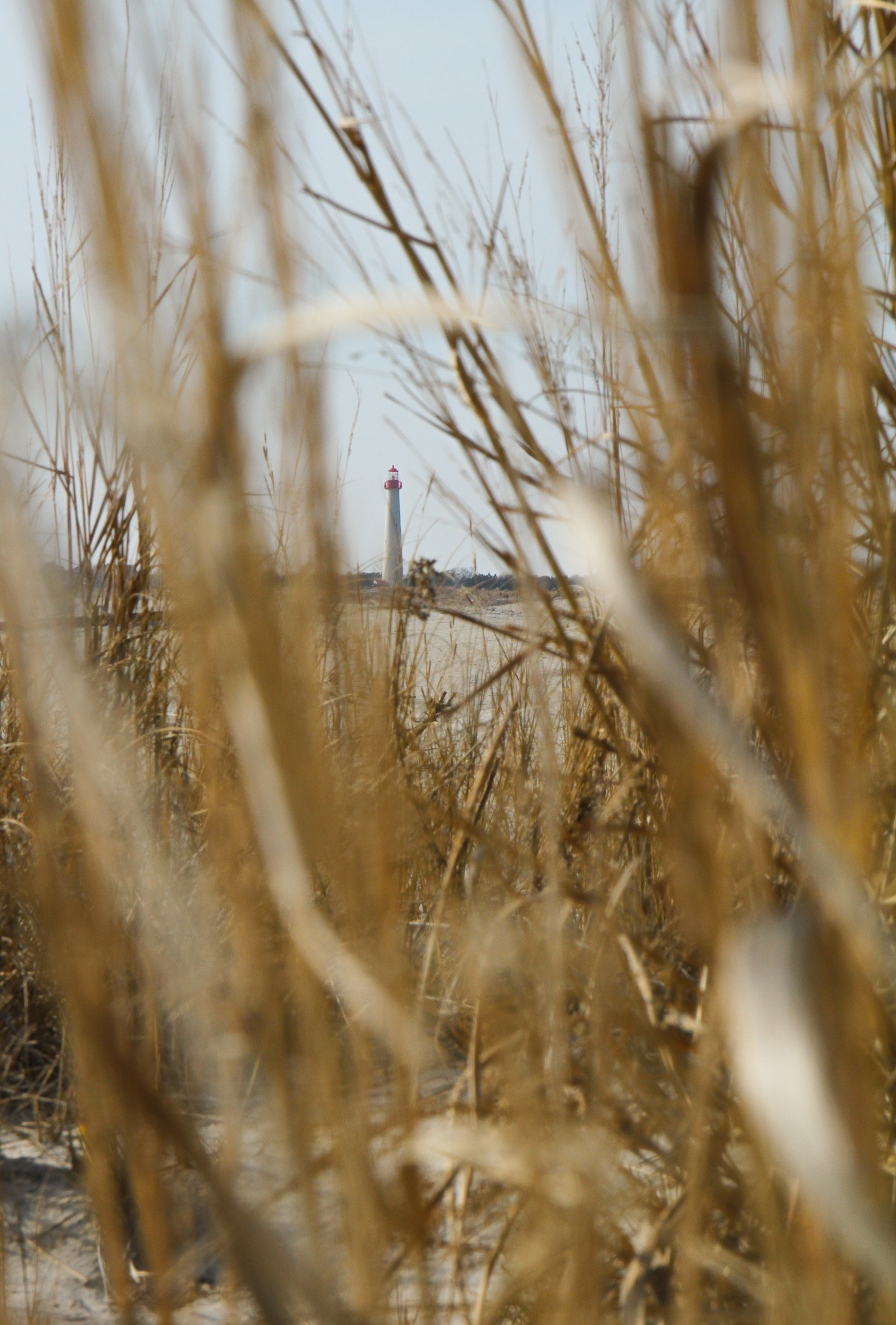 Finding the Lighthouse through the dunes