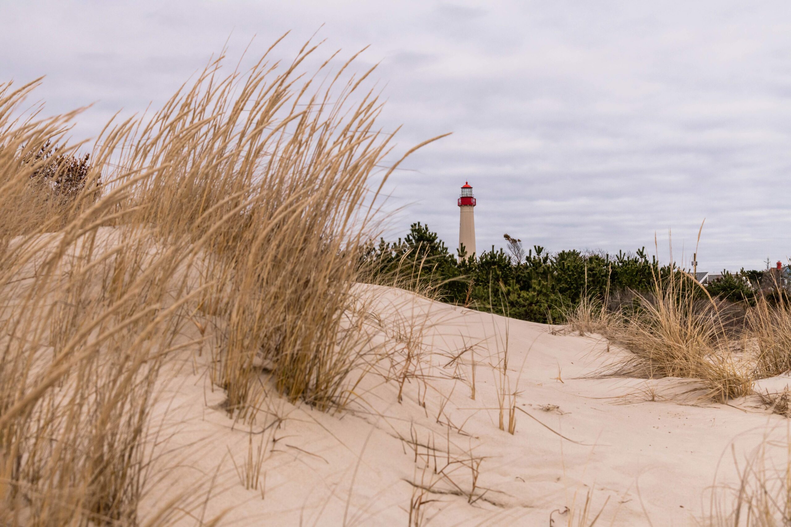 The Cape May Lighthouse in the distance past beach dunes with a cloudy sky