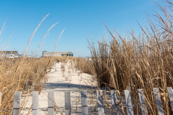 From the dunes looking at Cape May Convention Hall.