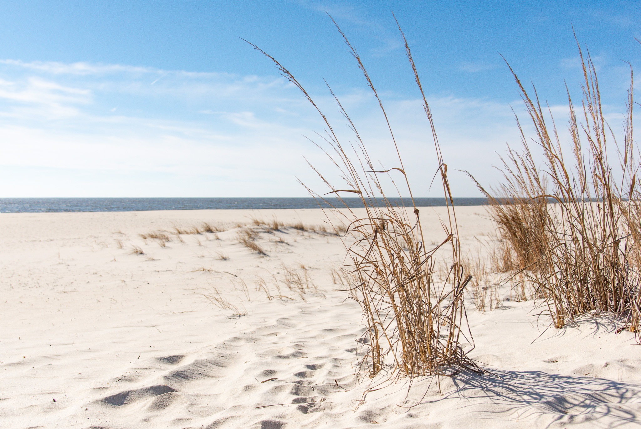 Looking at the Sandy Dunes