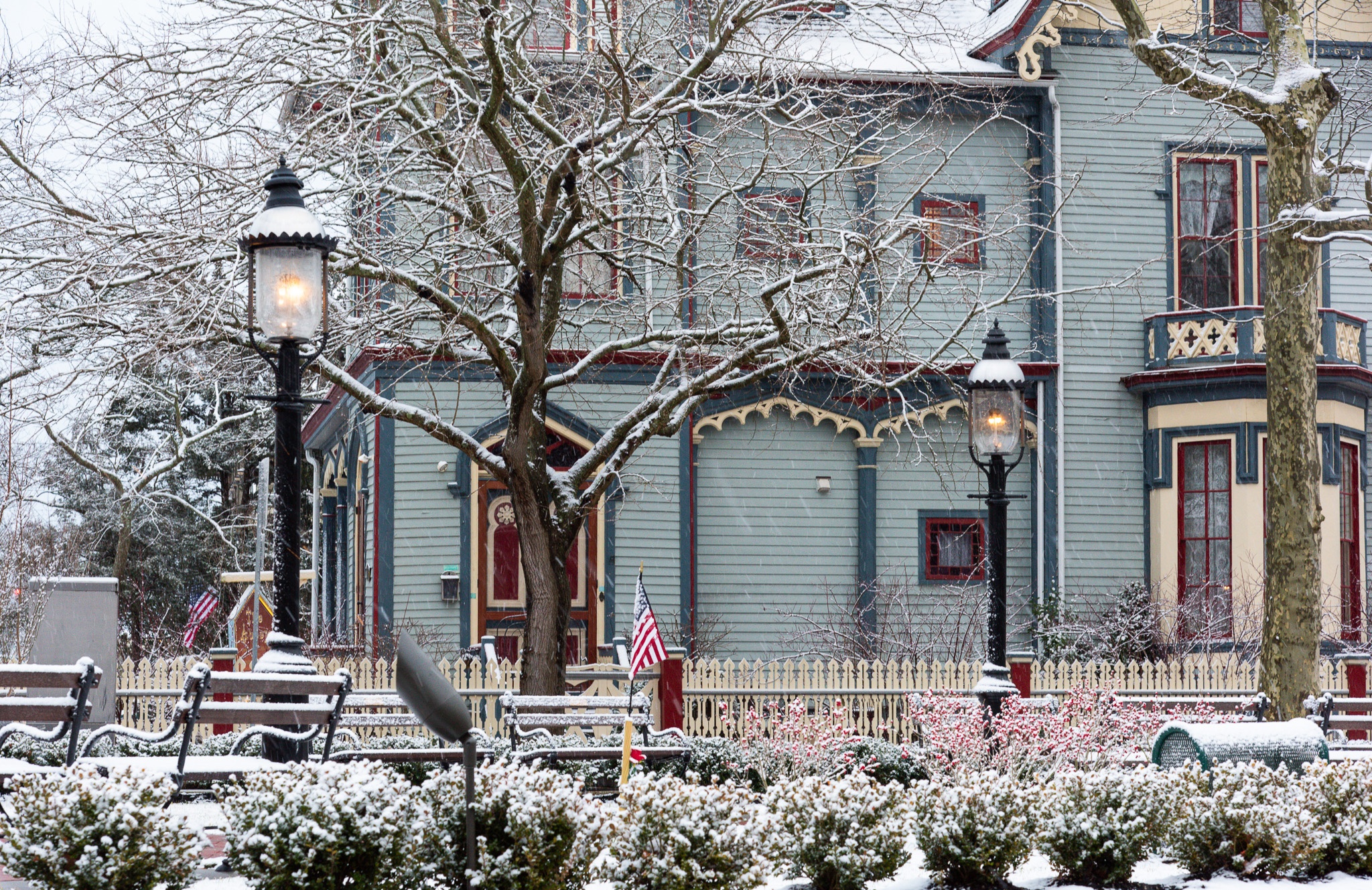 First Snow of 2023. This was taken on February 1st in the morning. The