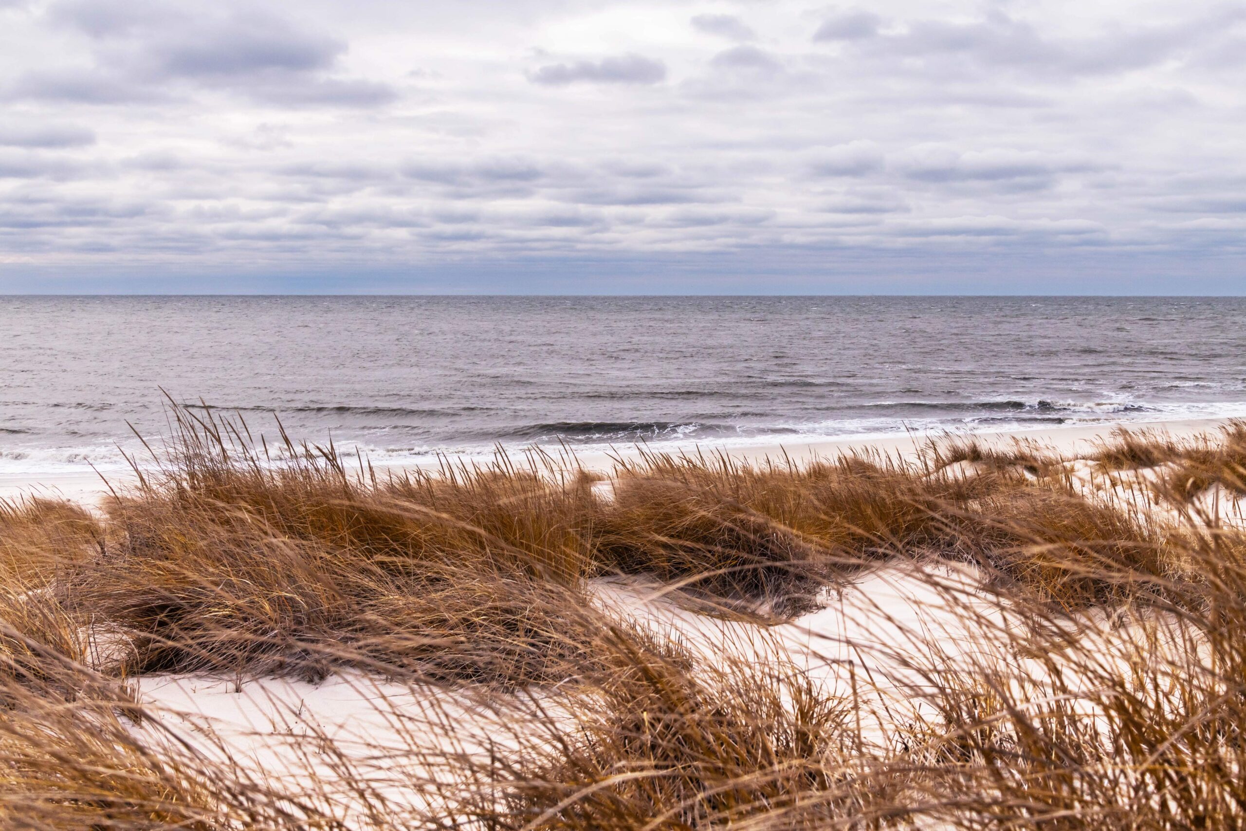 Beach dunes blowing in the wind with waves crashing in the ocean and clouds in the sky