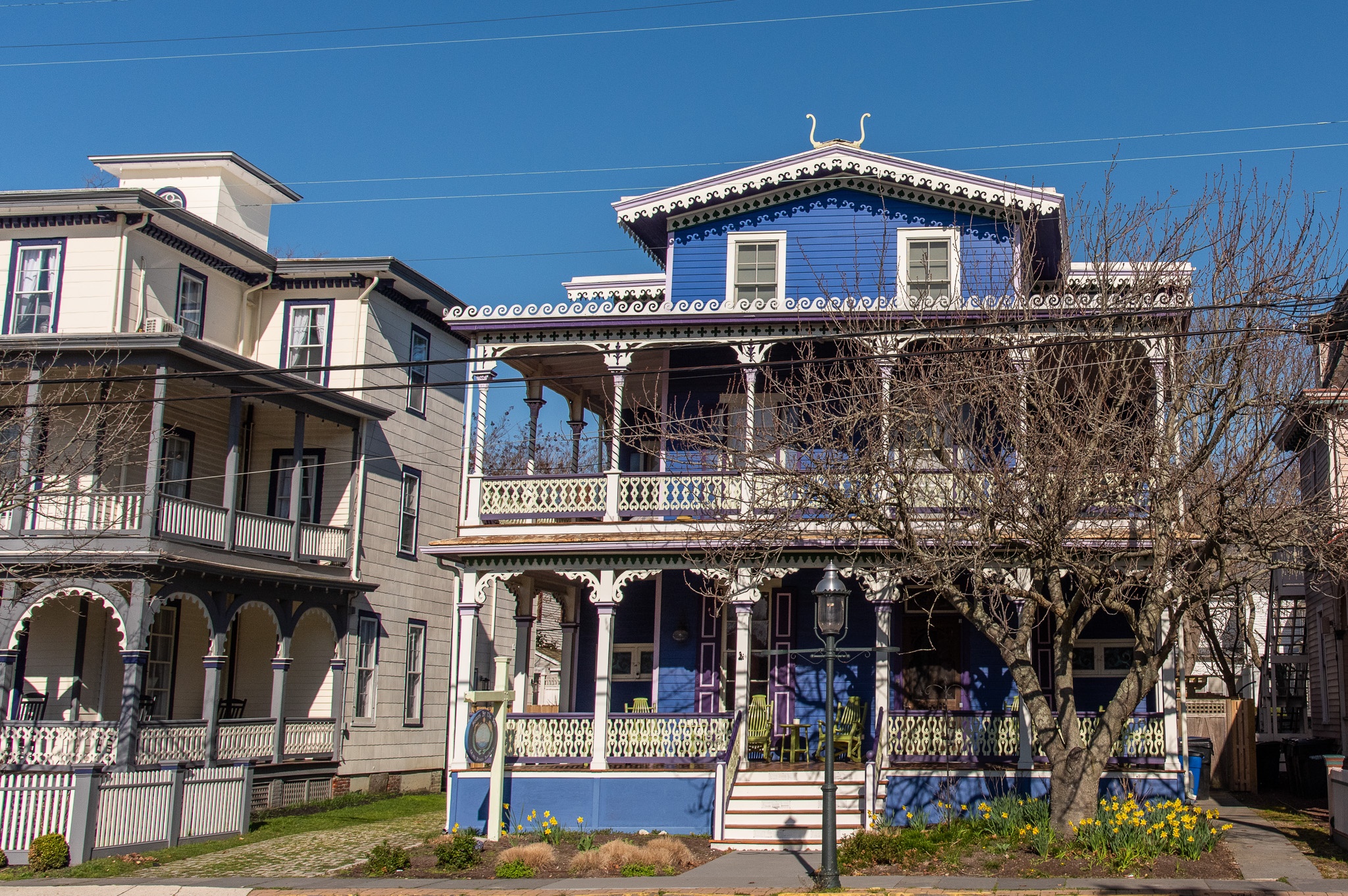 Columbia Avenue houses with flowers blooming